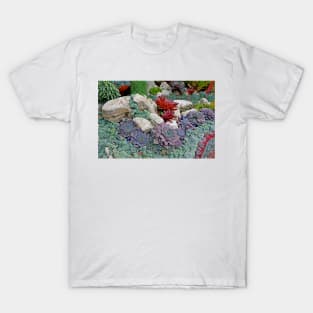 Sherman Gardens Study 2 T-Shirt